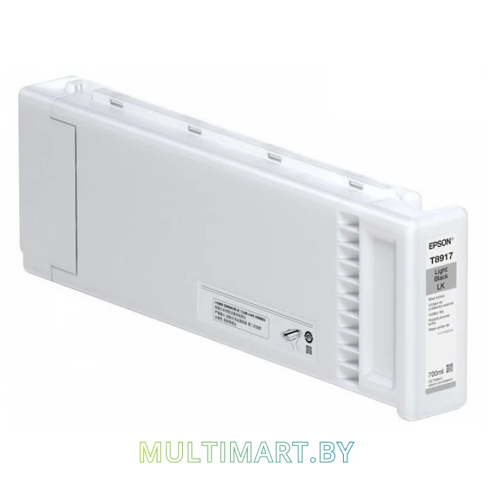 Картридж Epson C13T891700